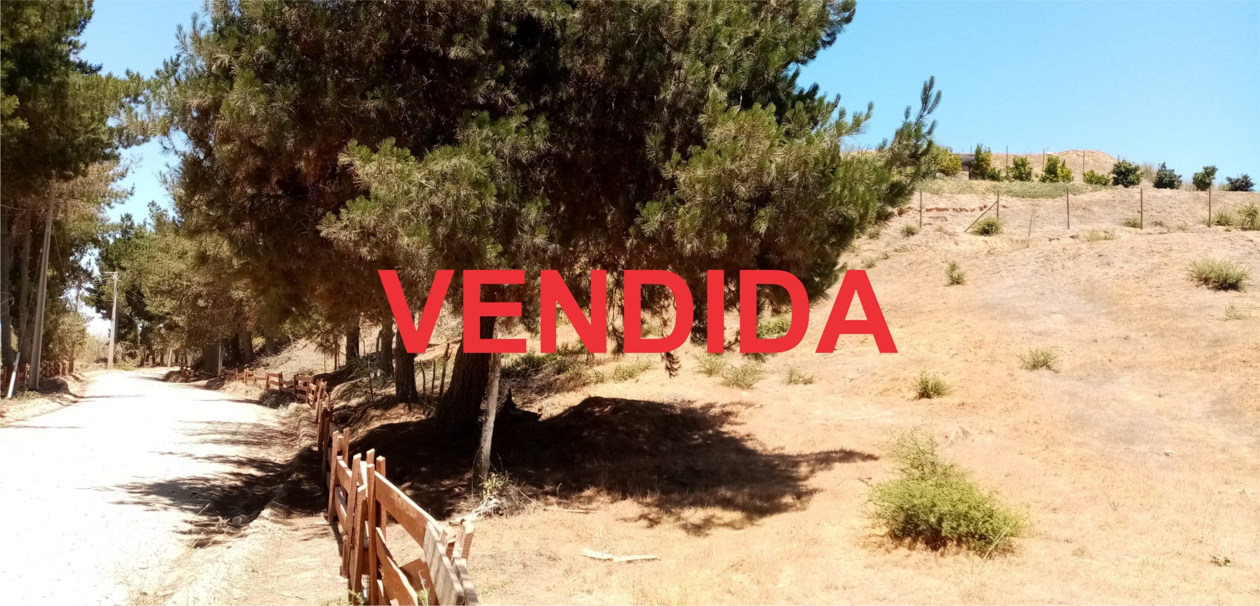 SOLEDAD VENDIDA
