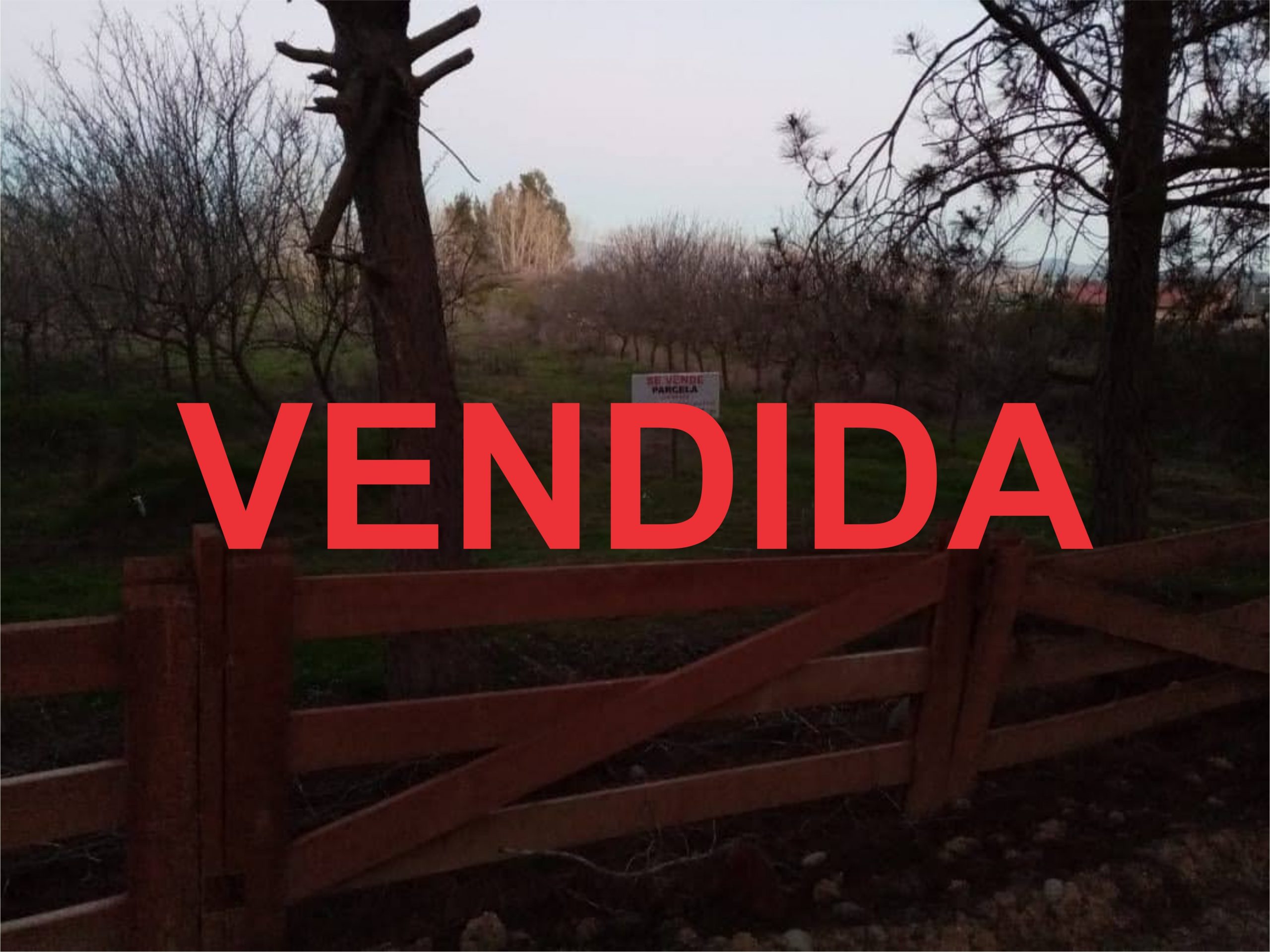 GABRIEL VENDIDA