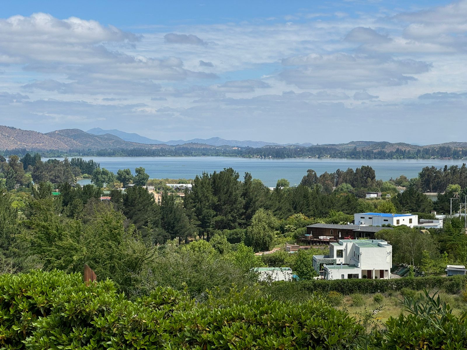 IMG-20241104-WA0098